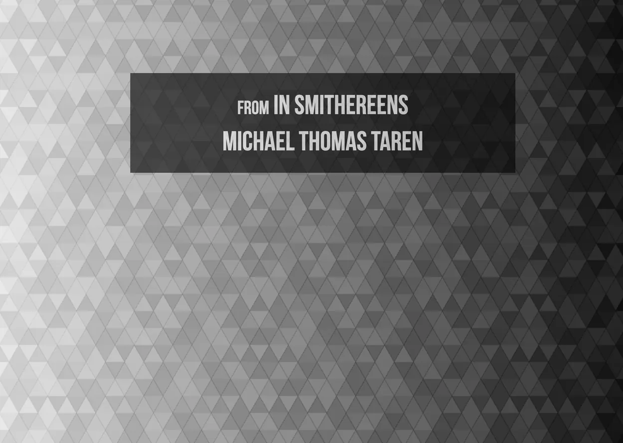 Ichnos on desktop, with a black title plate reading from In Smithereens, Michael Thomas Taren, over a field of small triangles shading from white to black